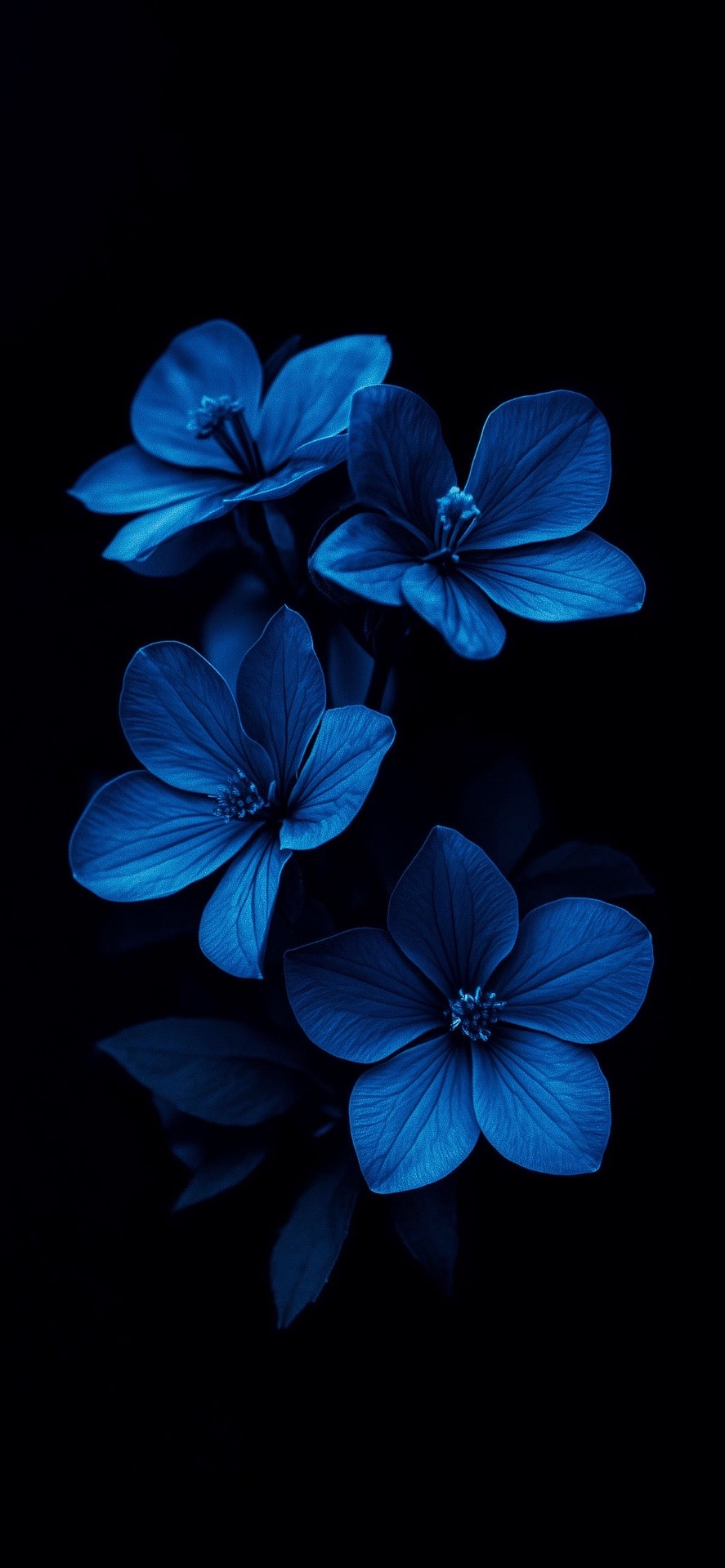 A bloom in quiet flourish